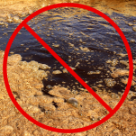 Bakterie do przydomowej oczyszczalni ścieków / PEŁEN KARTON - 4